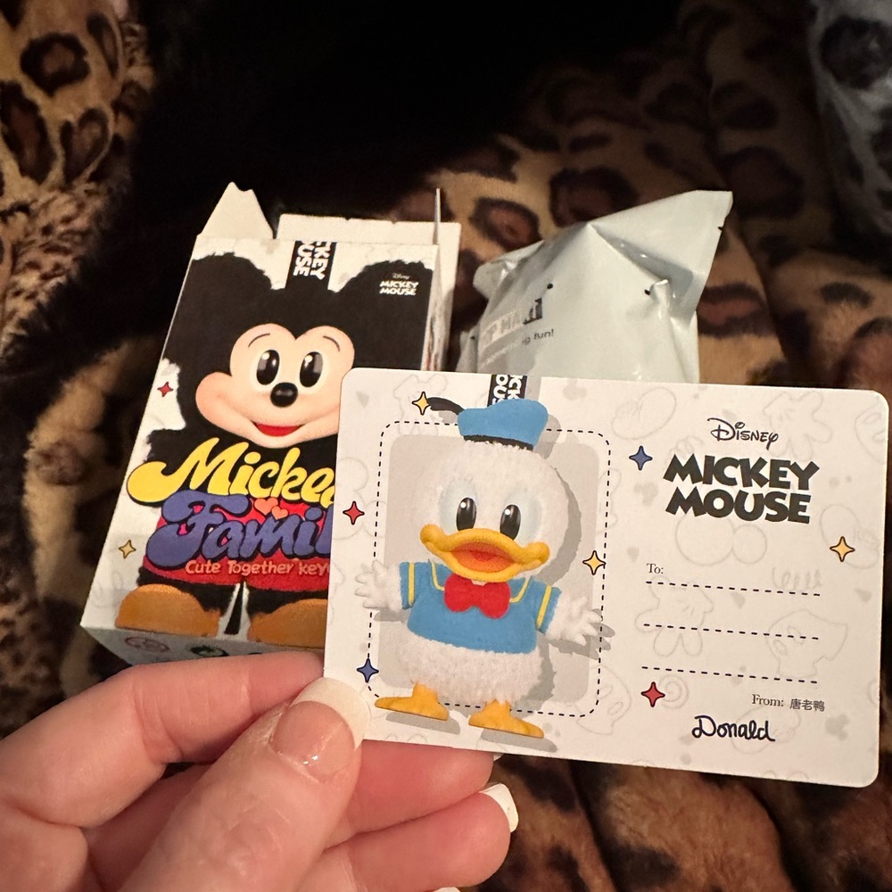 Mickey & Family, Donald